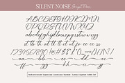 Silent Noise// Modern Font Duo, a Serif Font by Dora Typefoundry (Thumbnail 10 of 12)