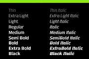 Nunda Dela, a Serif Font by Differentialtype (Thumbnail 9 of 11)