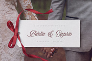 Bella Elegante - Calligraphy Font, a Script Font by Subectype Studio (Thumbnail 5 of 10)