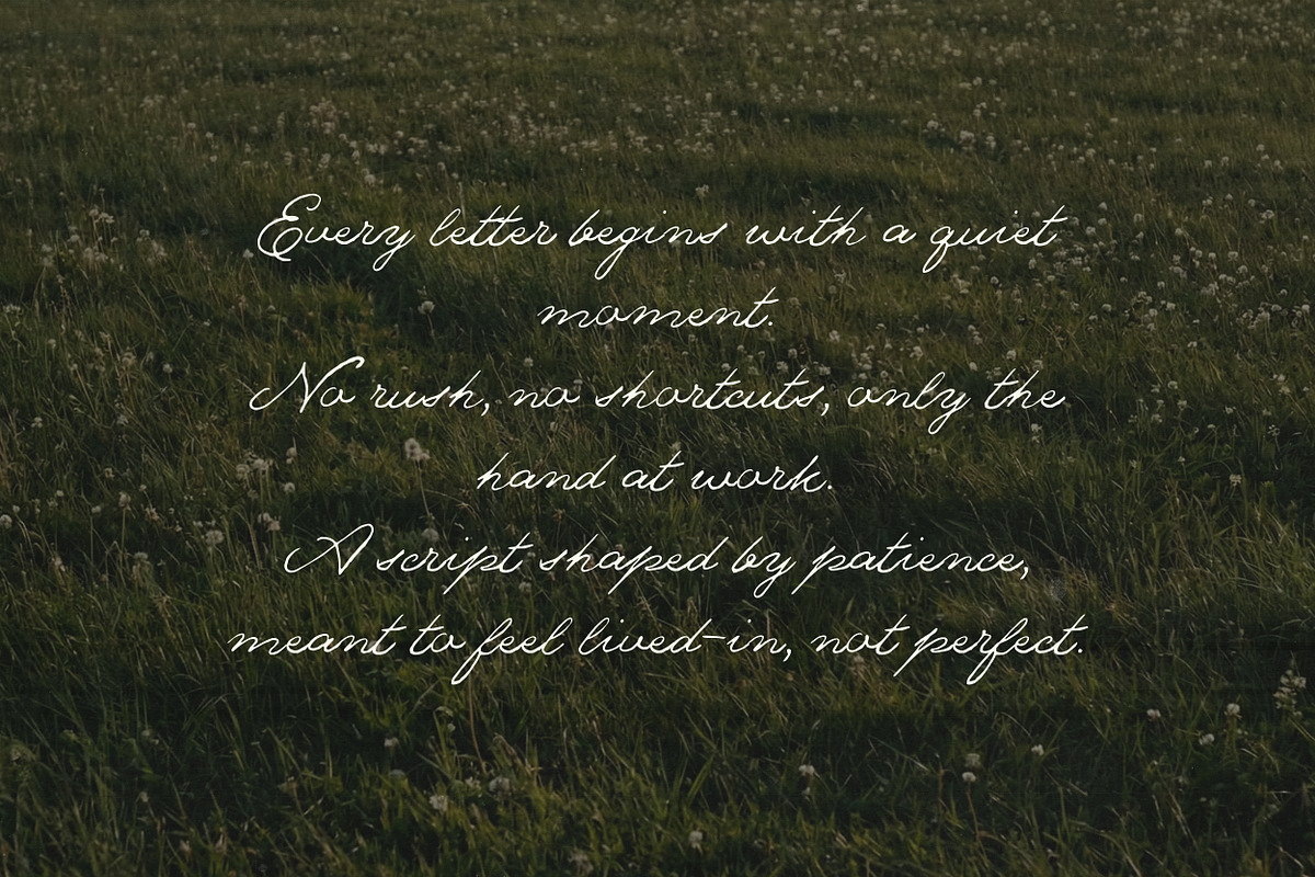 The Meadows - Font Trio & Extra, a Handwritten Font by Davide Bassu (Photo 21 of 25)