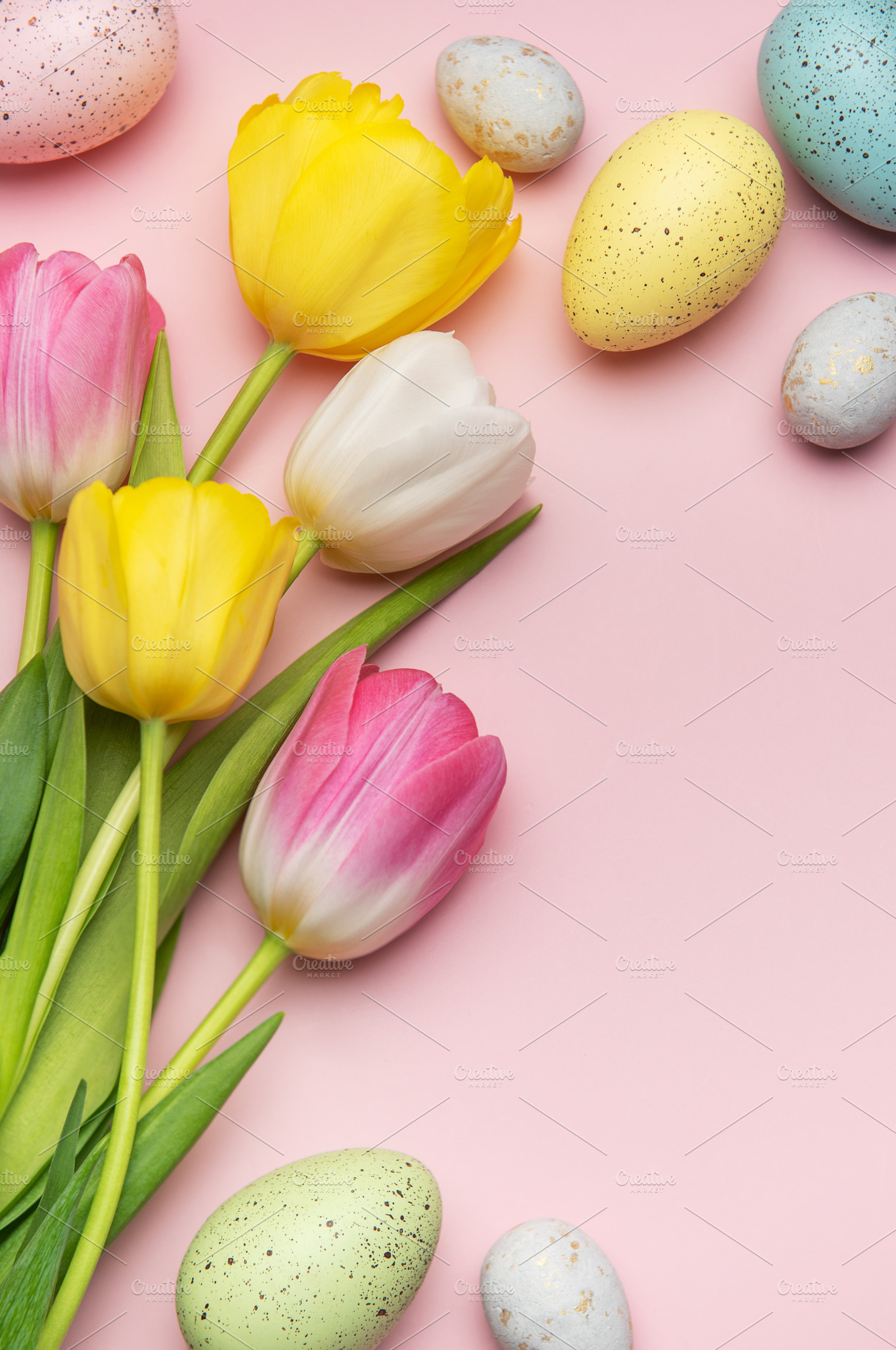 Colorful easter eggs and tulips creating festive border on pink, a Holiday Photo by Olena Rudo