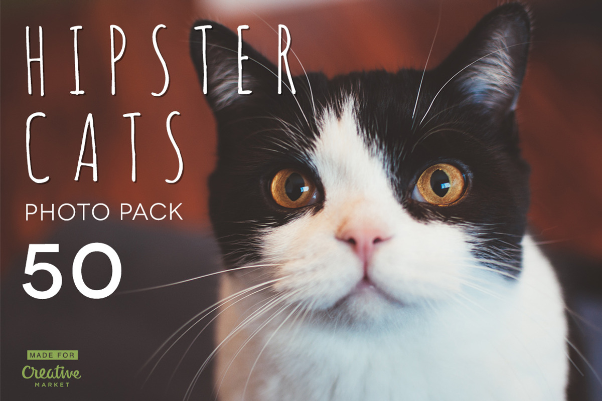 Hipster Cats Photo Pack preview 6
