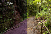 Travel POP Lightroom Presets Collect, a Plug-in Add-On by Martha Dominguez (Thumbnail 5 of 7)