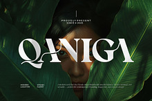 Qaniga || Modern Classy Serif Font