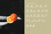 La Garpia Aesthetic Script Font, a Script Font by Hishand Studio (Thumbnail 2 of 8)
