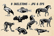 Vector Animal Skeletons Set, a Graphic by Catty Studio (Thumbnail 2 of 6)