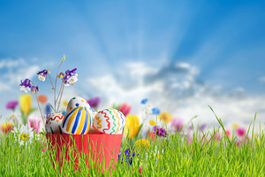 Easter background with flowers and e stock photo containing easter and egg