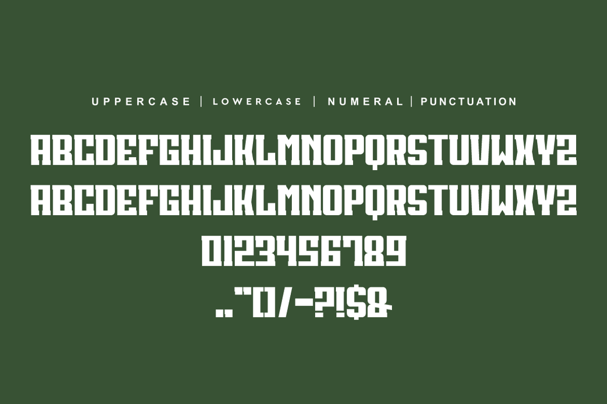 News Reposer, a Sans Serif Font by alon kelakon (Photo 4 of 5)
