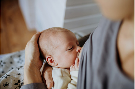 Close-up of mother brestfeeding her, a Person Photo by HalfPoint