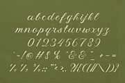 Meadow & Villager Club - Font Duo, a Handwritten Font by Lettertype Studio (Thumbnail 13 of 14)