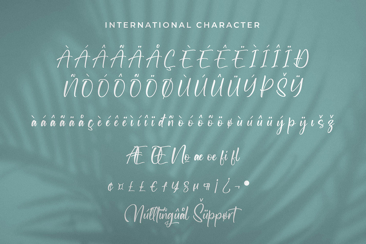 Newscript, a Script Font by Integritype Studio (Photo 9 of 14)