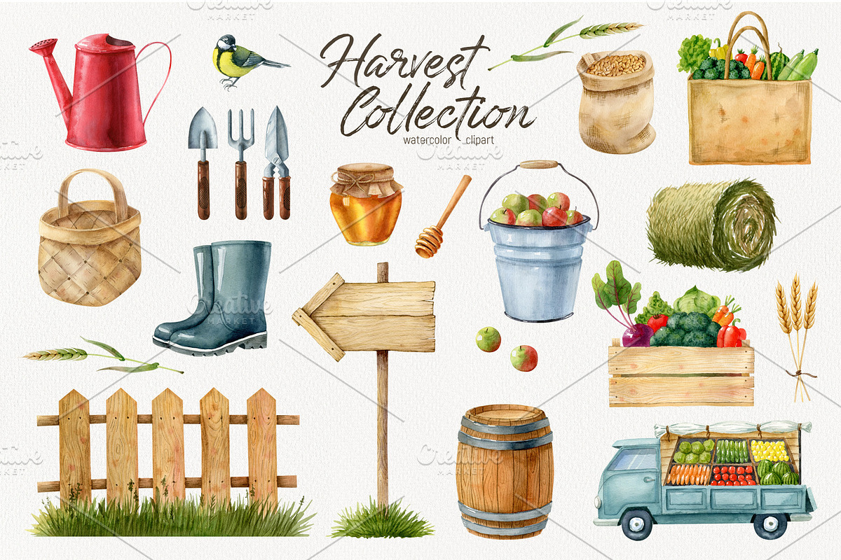 Watercolor harvest collection, a Decorative Illustration by Natalia Fedorova (Photo 3 of 9)