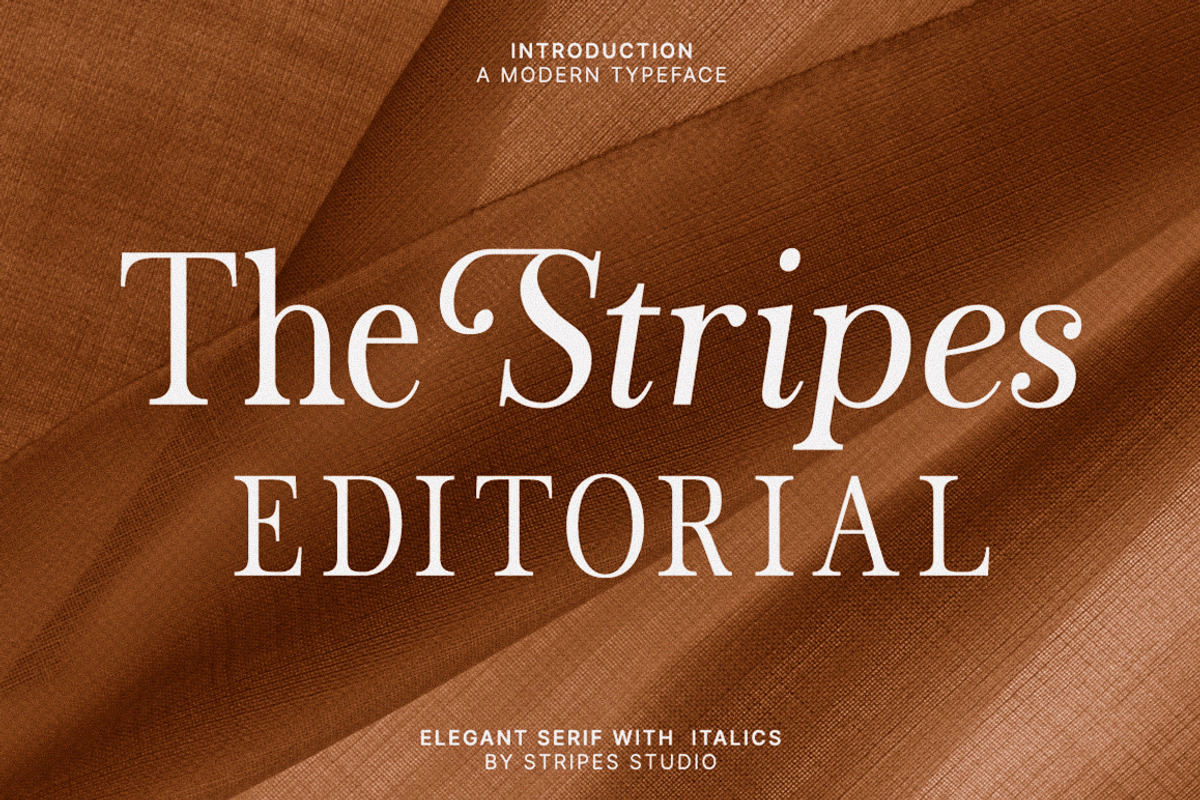 The Stripes Editorial + Italics, a Serif Font by Stripes Studio (Photo 1 of 23)