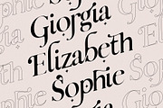 Charles - Ligature Serif Font Family, a Serif Font by SilverStag Type Foundry (Thumbnail 3 of 32)