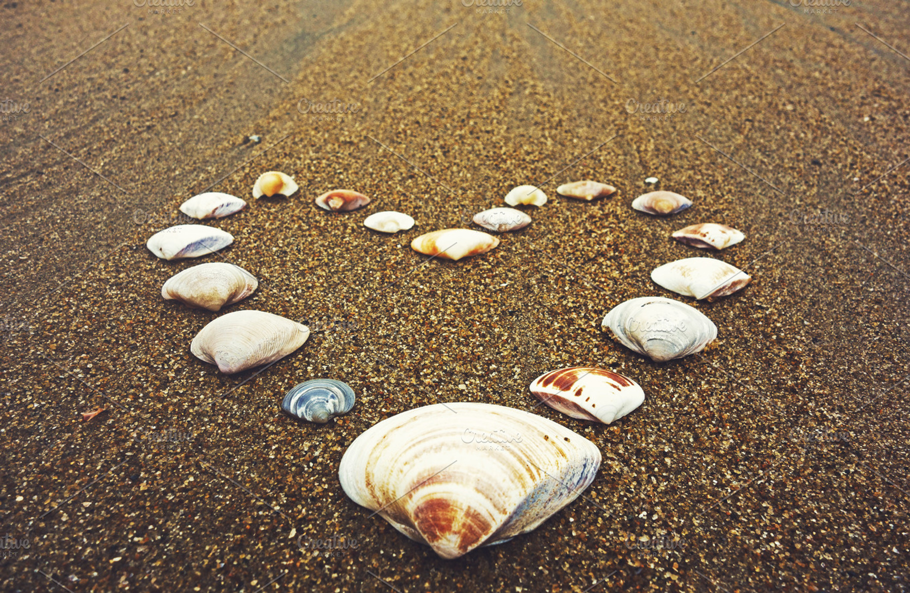 Seashell Heart