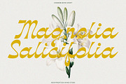 Kindmore - Reverse Script, a Script Font by Invasi Studio (Thumbnail 8 of 11)