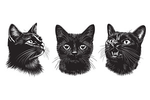 Black cat head face portraite set, an Object Illustration by Valerie Bodnar