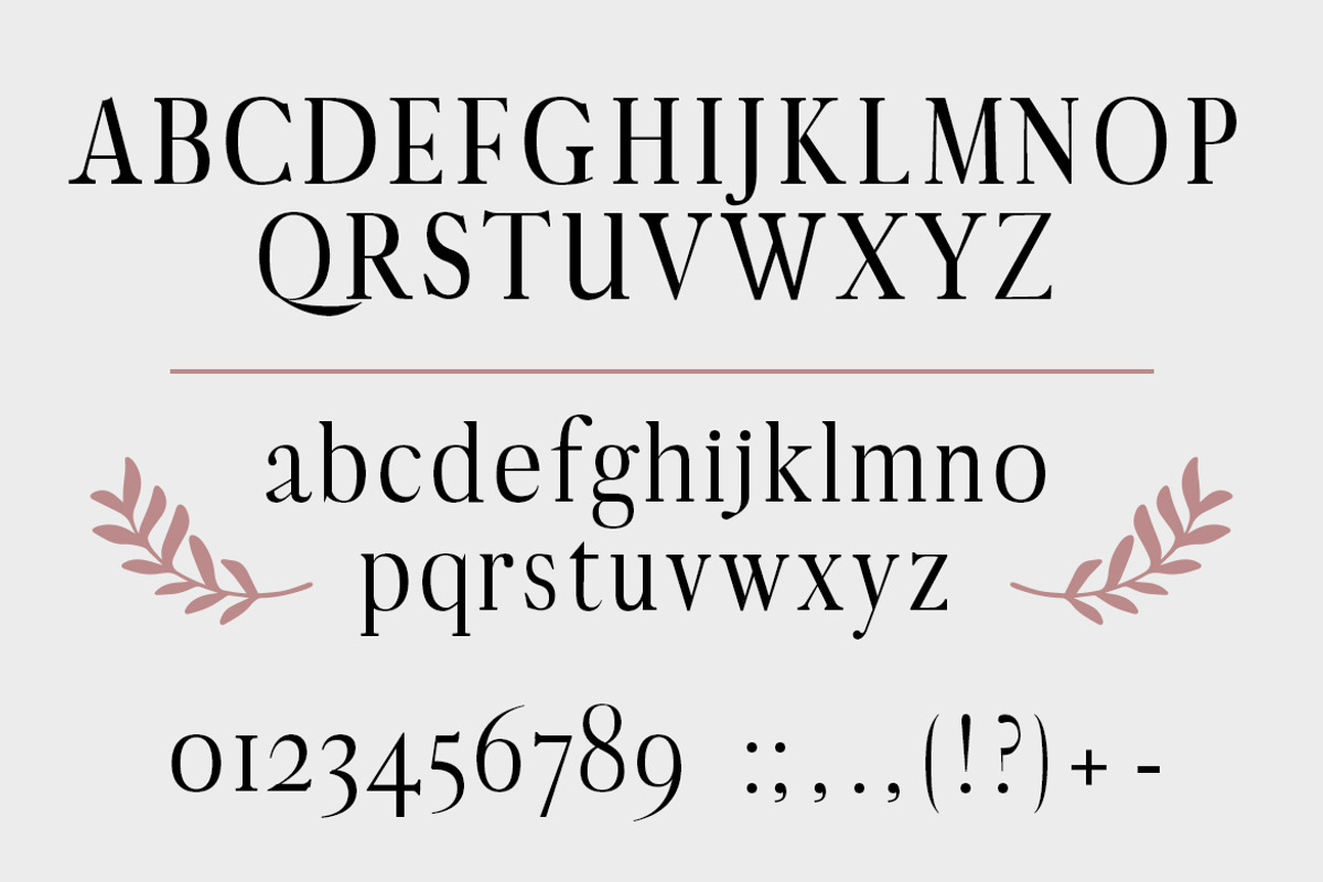 Aventure| graceful serif font preview 2
