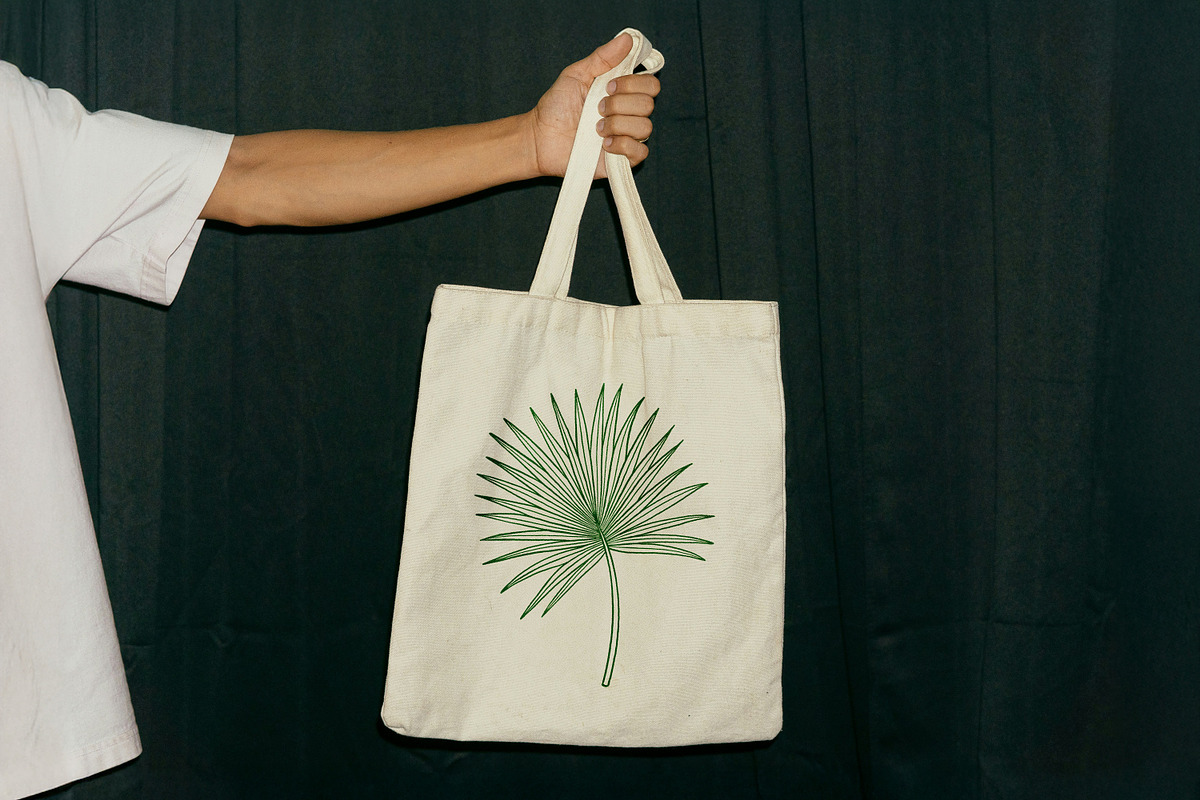 Vintage Tropical Flora Illustrations, an Object Illustration by Jaclyn Caris (Photo 10 of 15)