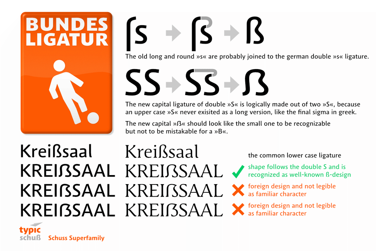 10 Fonts Schuss Serif Pro, a Serif Font by typic schuss (Photo 11 of 18)