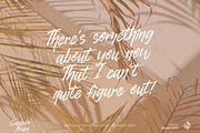 Crushider Brush, a Script Font by Aluyeah Studio (Thumbnail 5 of 14)