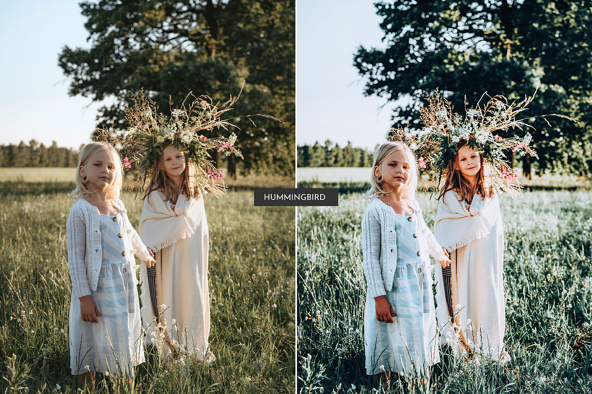 HummingBird Lightroom Presets Pack, an Action Add-On by PixelHive Pro (Photo 5 of 9)