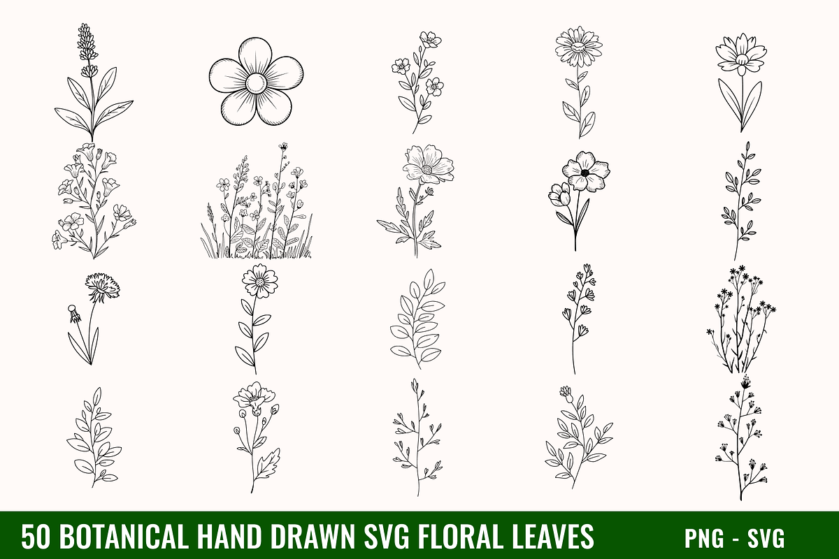 50 Hand Drawn SVG Floral Leaves, a Decorative Illustration by BoudaTemplate (Photo 1 of 3)