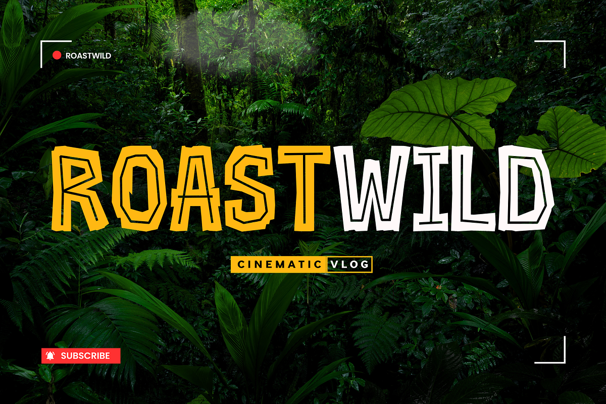 Realwood - Display Font, a Sans Serif Font by Sronstudio (Photo 5 of 18)