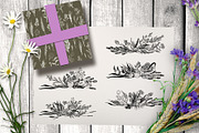 Wild field herbs. Botanical set., a Healthcare Illustration by Alena Kaz (Thumbnail 8 of 12)