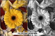 Infrared Ultraviolet Monochrome LUTs, a Plug-in Add-On by Raztrend (Thumbnail 5 of 30)