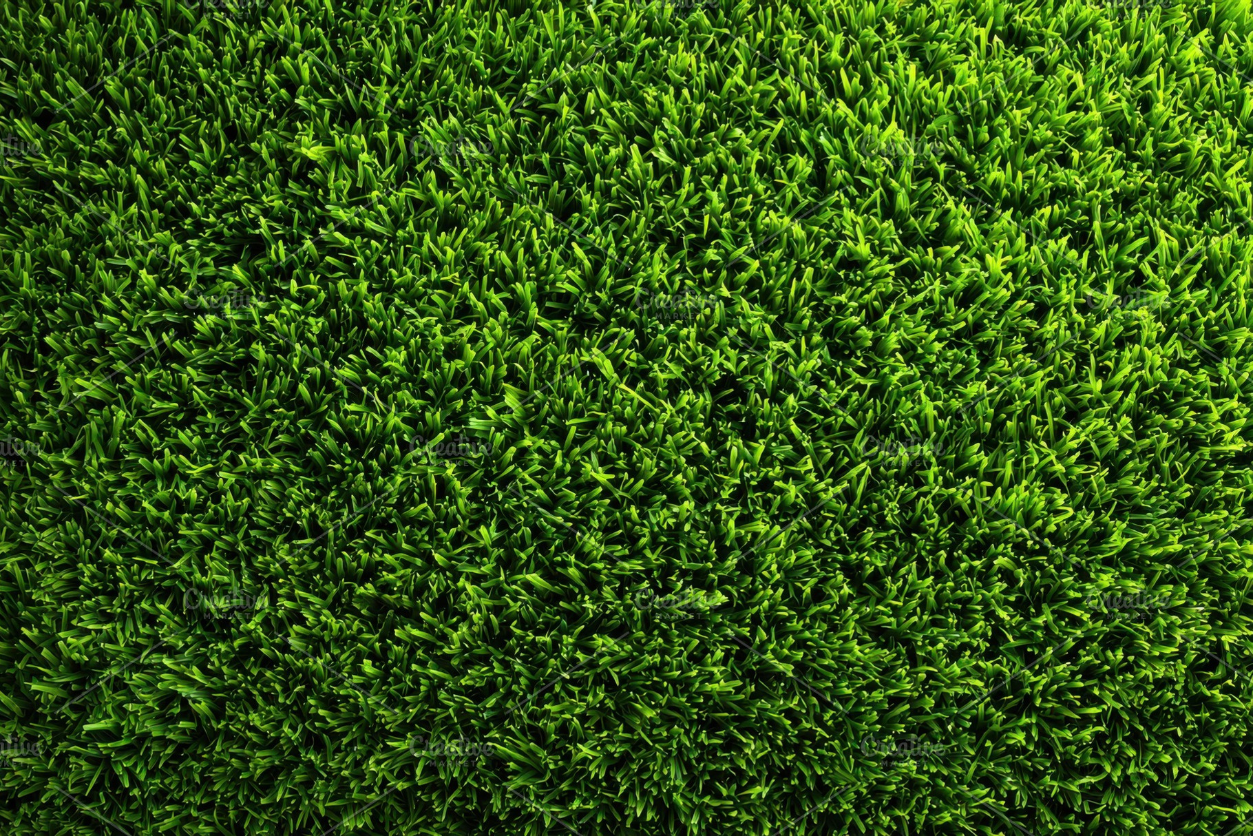 Lush Green Grass Texture Nature Back, a Photo by Pixeness Studio