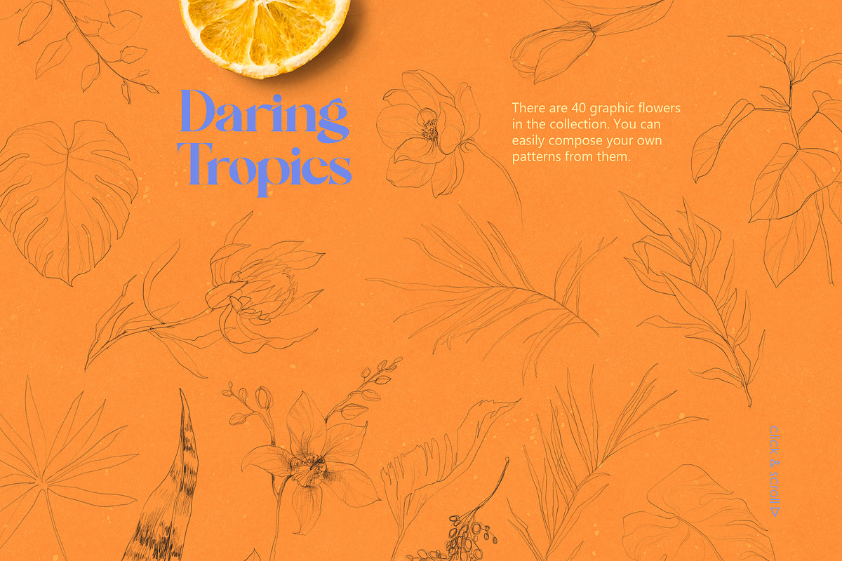 Daring Tropics. Summer Collection, an Object Illustration by Colden Blue (Photo 3 of 12)