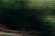 FlowerBloom 2 - Fine Art Photography, an Abstract Photo by Marie Dumora (Thumbnail 5 of 5)