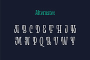 Minton52 font, a Serif Font by Yury Veselov (Thumbnail 5 of 9)