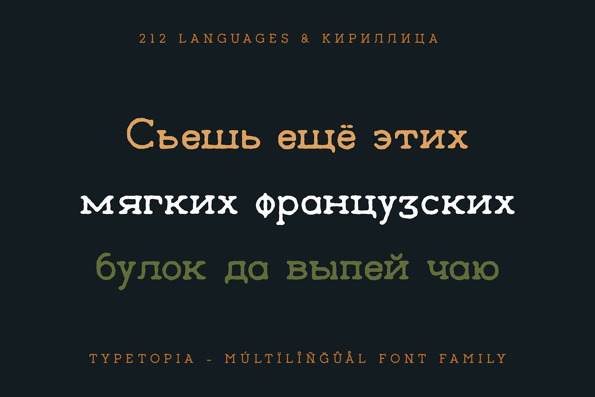 Typetopia Eroded Serif Typeface, a Handwritten Font by alpercakici (Photo 2 of 17)