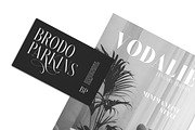 Brioche Family (70% OFF), a Serif Font by Sarid Ezra (Thumbnail 6 of 10)