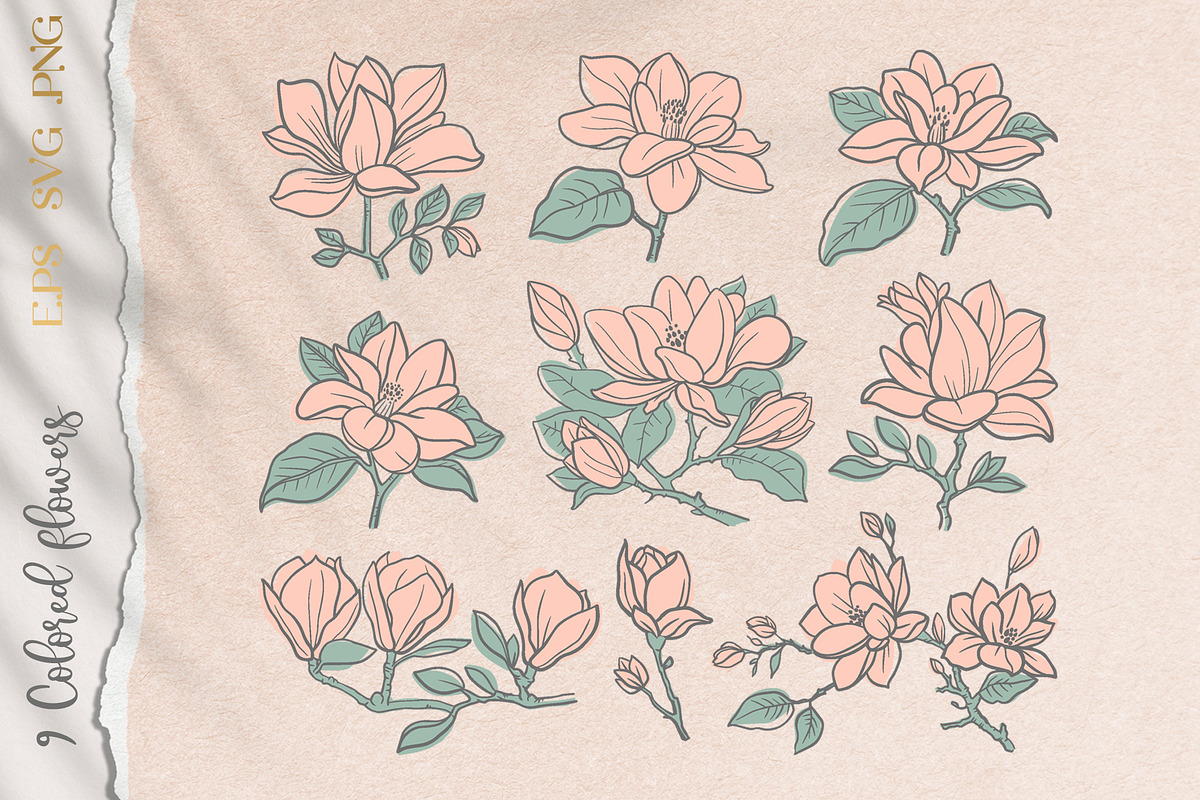 Мagnolia garden. Floral Line Art, a Decorative Illustration by KlavaProDesign (Photo 6 of 7)