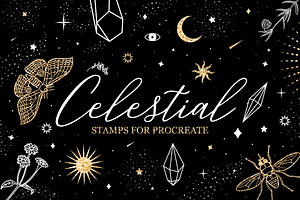 80 Celestial Procreate Stamp Brushes