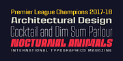 House Sans, a Sans Serif Font by TypeUnion (Thumbnail 9 of 15)