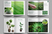 Botanical Portfolio Layout, a Brochure Template by MightyDesign (Thumbnail 2 of 7)
