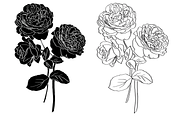 Bunch of Roses, an Object Graphic by VictoriaKStudio (Thumbnail 2 of 8)