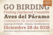 Pueblito font family, a Serif Font by Corradine Fonts (Thumbnail 7 of 10)