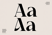 Caelvin – Modern Editorial Serif, a Serif Font by Muksal Creative (Thumbnail 5 of 10)