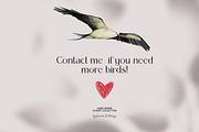 Birds watercolor illustrations, an Animal Illustration by Vero Arts (Thumbnail 11 of 11)