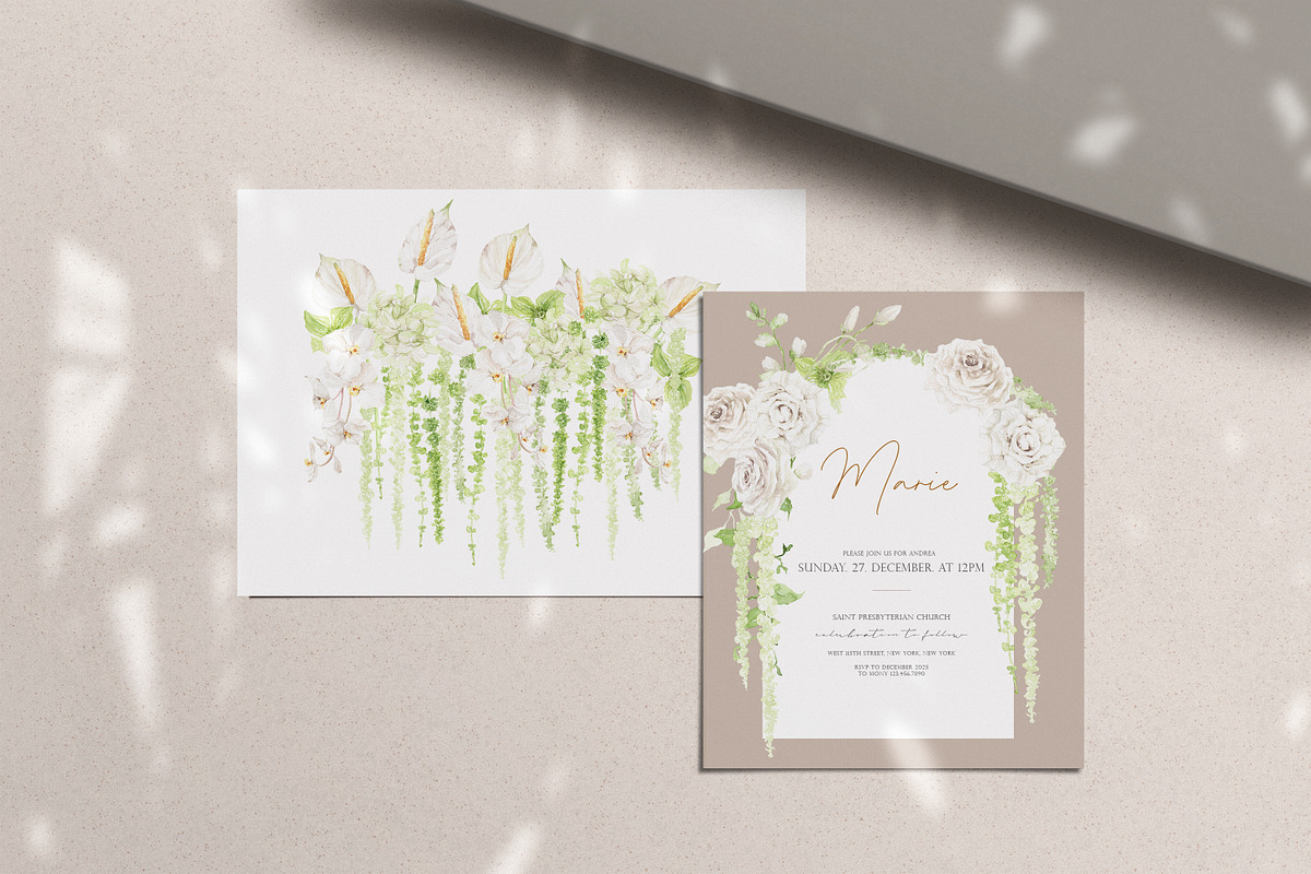 Watercolor Flower- AMARANTHUS, a Decorative Illustration by Beigetime (Photo 15 of 15)