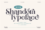 Shandora a Modern Serif Font, a Serif Font by Vilogsign (Thumbnail 1 of 15)