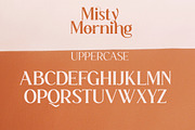 Misty Morning, a Serif Font by Funtype (Thumbnail 10 of 15)