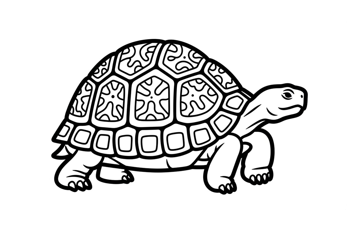 Turtle Line Art Illustration Bundle, an Illustration by Creativeshirt (Photo 33 of 48)