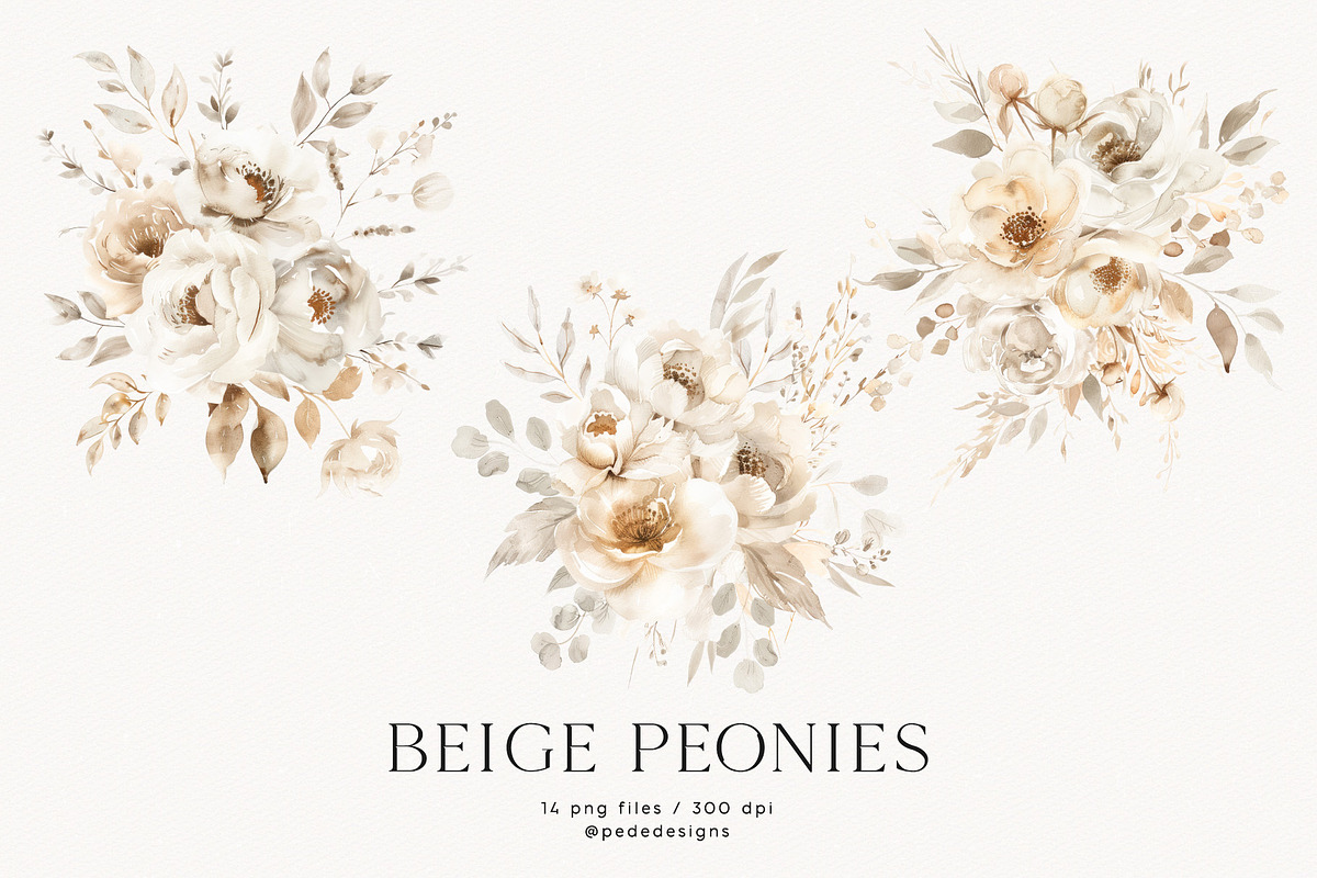 Beige Peonies, a Decorative Illustration by PeDe Designs (Photo 2 of 9)