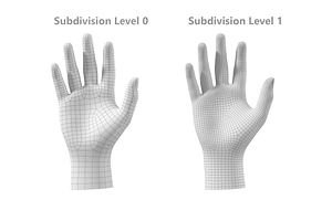 Endomorph Male Hand Base Mesh 02